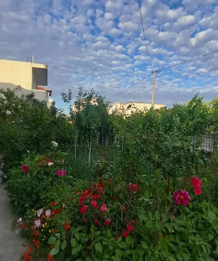 Olmar'S Guest House دراس شقة