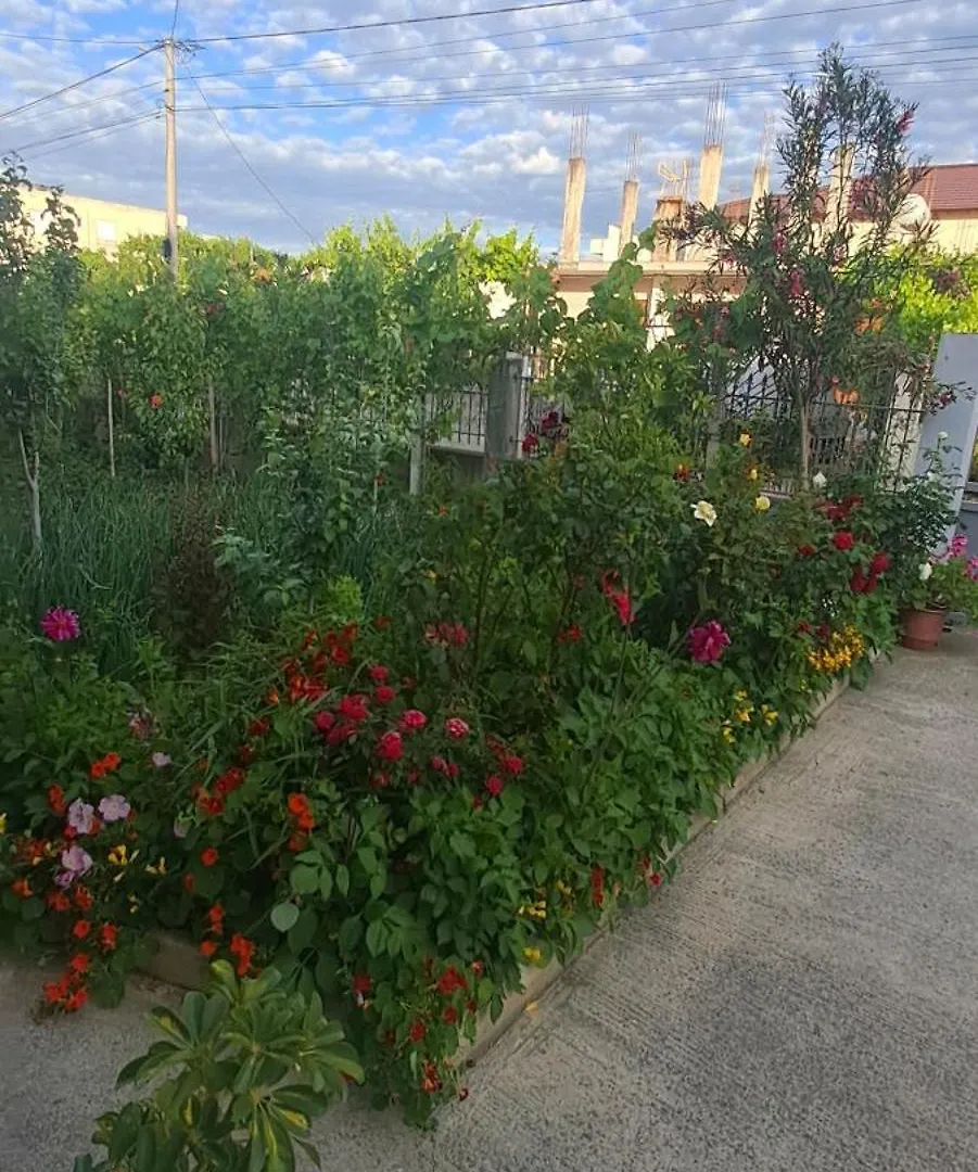 Olmar'S Guest House دراس